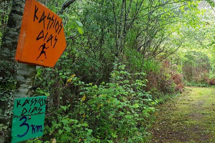 Κάσσιος Δίας mykerkyra.com