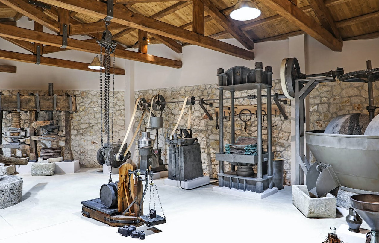 Enotis - Olive Groves & Museum